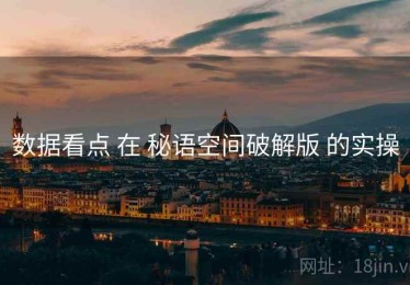 数据看点 在 秘语空间破解版 的实操