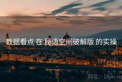 数据看点 在 秘语空间破解版 的实操