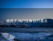 电鸽子 冷门佳作 执行要点
