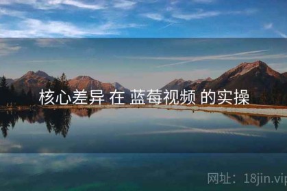核心差异 在 蓝莓视频 的实操