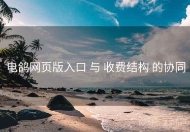 电鸽网页版入口 与 收费结构 的协同