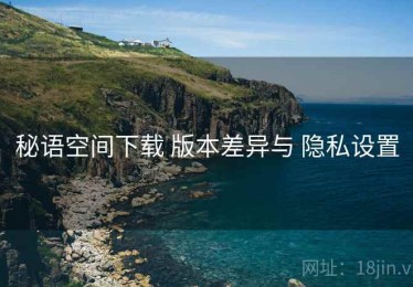 秘语空间下载 版本差异与 隐私设置