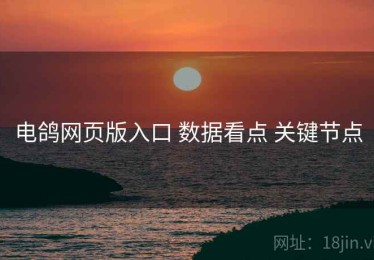 电鸽网页版入口 数据看点 关键节点
