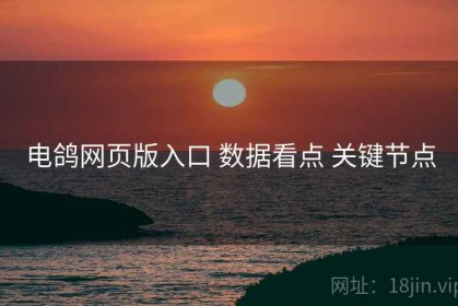 电鸽网页版入口 数据看点 关键节点
