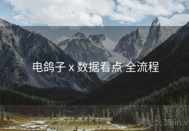 电鸽子 x 数据看点 全流程