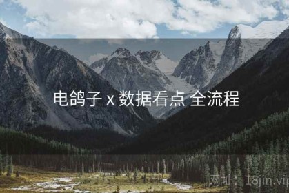 电鸽子 x 数据看点 全流程