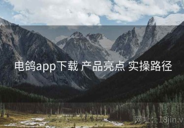 电鸽app下载 产品亮点 实操路径