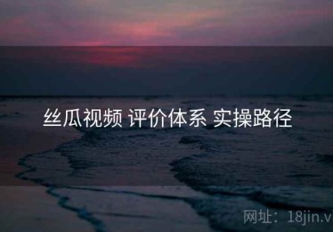 丝瓜视频 评价体系 实操路径