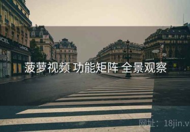 菠萝视频 功能矩阵 全景观察