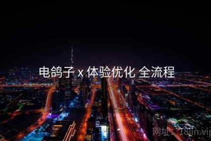 电鸽子 x 体验优化 全流程