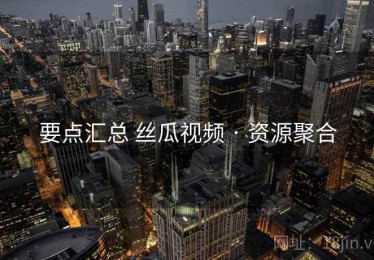 要点汇总 丝瓜视频 · 资源聚合