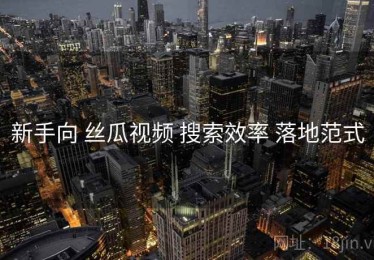 新手向 丝瓜视频 搜索效率 落地范式