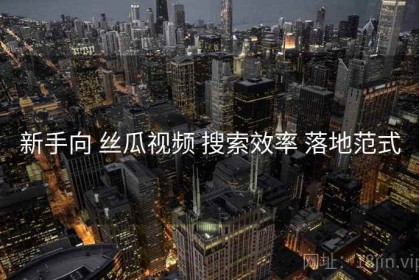 新手向 丝瓜视频 搜索效率 落地范式