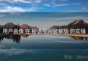 用户画像 在 秘语空间破解版 的实操