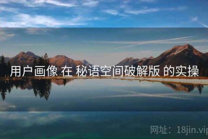 用户画像 在 秘语空间破解版 的实操