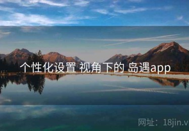 个性化设置 视角下的 岛遇app