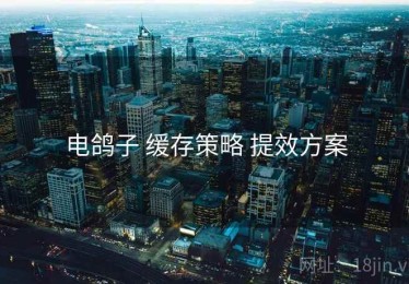 电鸽子 缓存策略 提效方案