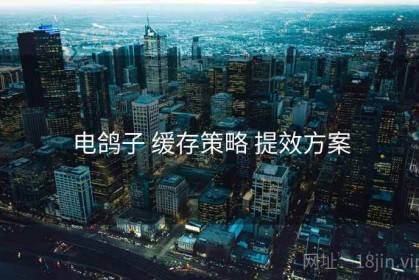电鸽子 缓存策略 提效方案