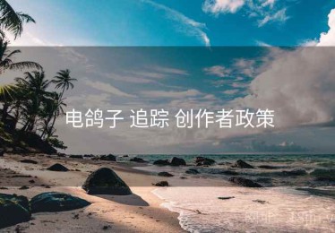 电鸽子 追踪 创作者政策