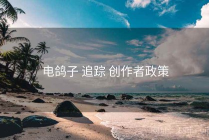 电鸽子 追踪 创作者政策