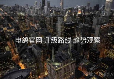 电鸽官网 升级路线 趋势观察