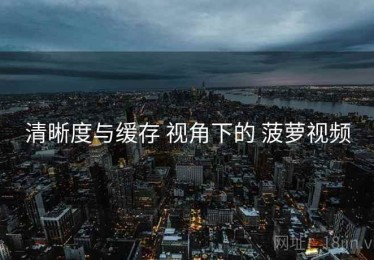 清晰度与缓存 视角下的 菠萝视频