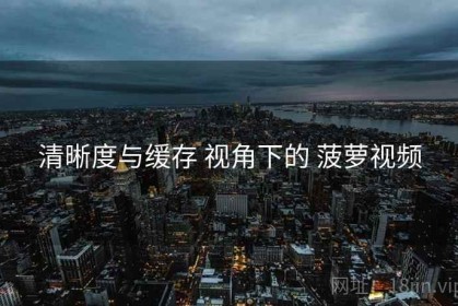 清晰度与缓存 视角下的 菠萝视频