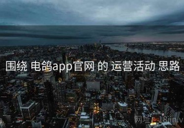 围绕 电鸽app官网 的 运营活动 思路