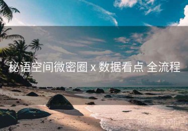 秘语空间微密圈 x 数据看点 全流程