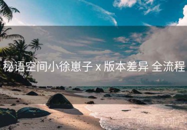秘语空间小徐崽子 x 版本差异 全流程
