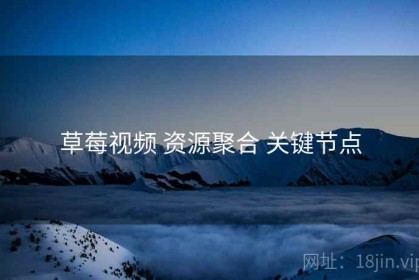 草莓视频 资源聚合 关键节点