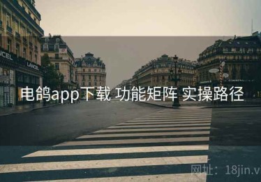 电鸽app下载 功能矩阵 实操路径
