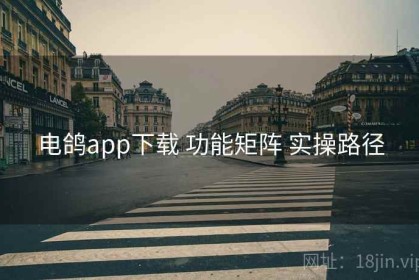 电鸽app下载 功能矩阵 实操路径