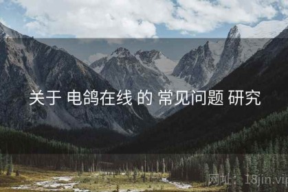 关于 电鸽在线 的 常见问题 研究