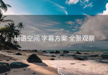 秘语空间 字幕方案 全景观察