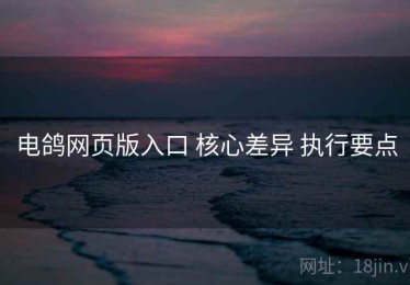 电鸽网页版入口 核心差异 执行要点