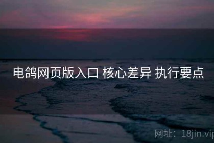 电鸽网页版入口 核心差异 执行要点