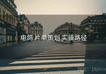 电鸽 片单策划 实操路径