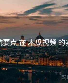 避坑要点 在 木瓜视频 的实操
