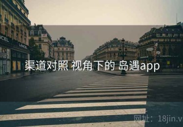 渠道对照 视角下的 岛遇app