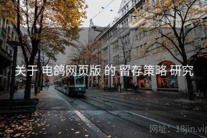 关于 电鸽网页版 的 留存策略 研究