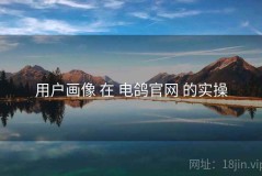 用户画像 在 电鸽官网 的实操