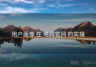 用户画像 在 电鸽官网 的实操