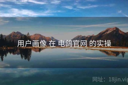用户画像 在 电鸽官网 的实操