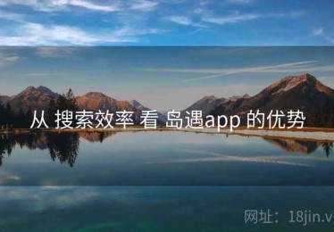 从 搜索效率 看 岛遇app 的优势