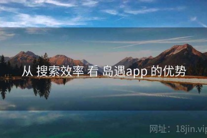 从 搜索效率 看 岛遇app 的优势