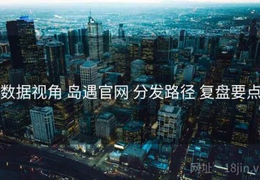 数据视角 岛遇官网 分发路径 复盘要点