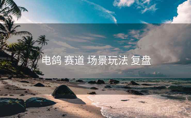 电鸽 赛道 场景玩法 复盘