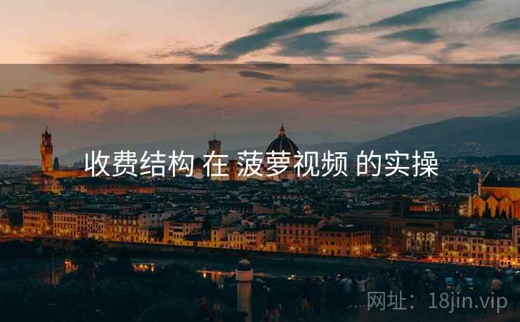 收费结构 在 菠萝视频 的实操