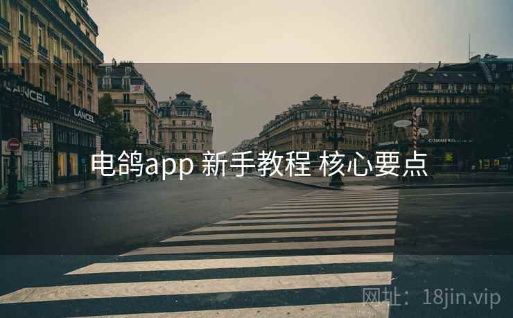 电鸽app 新手教程 核心要点